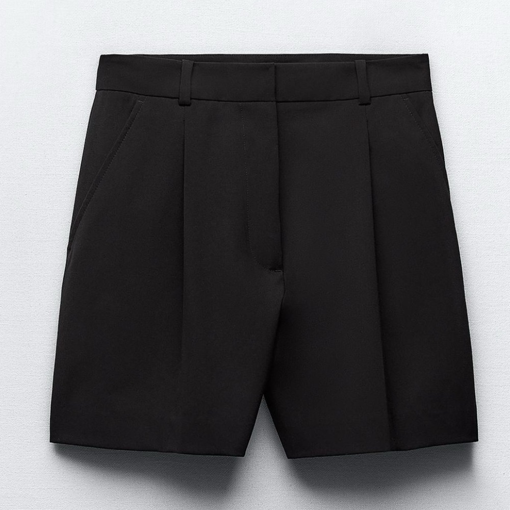 Zara Pleated Shorts (Medium)